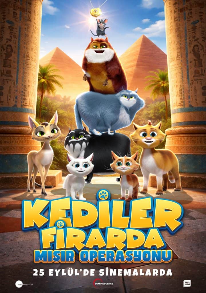 Kediler Firarda: Mısır Operasyonu