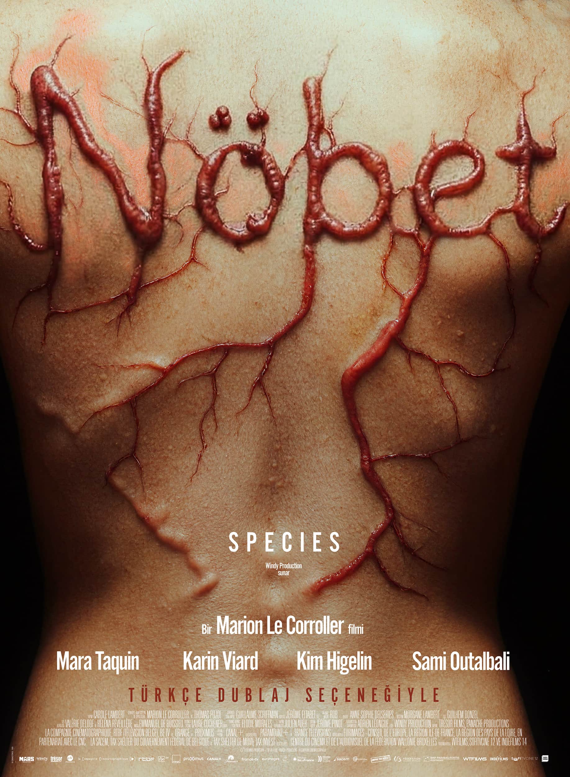 Nöbet