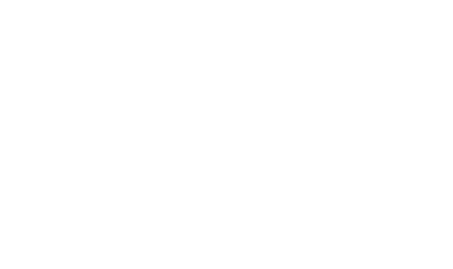 Berlin Film Festivali