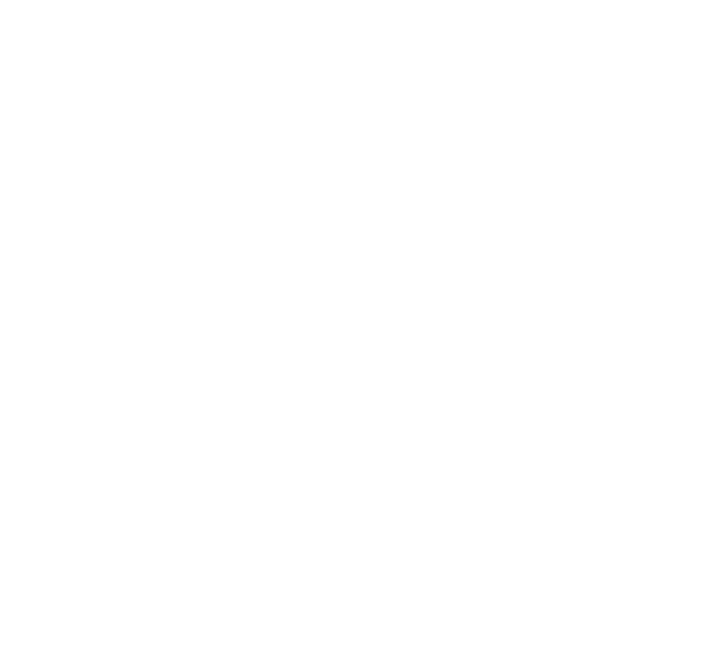 Karlovy Vary Film Festivali
