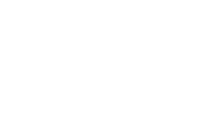 Toronto Film Festivali